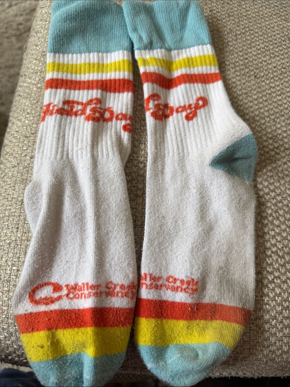 Field Day Socks!!  White Crew Socks with Aqua Cuff and Multicolor Stripes.